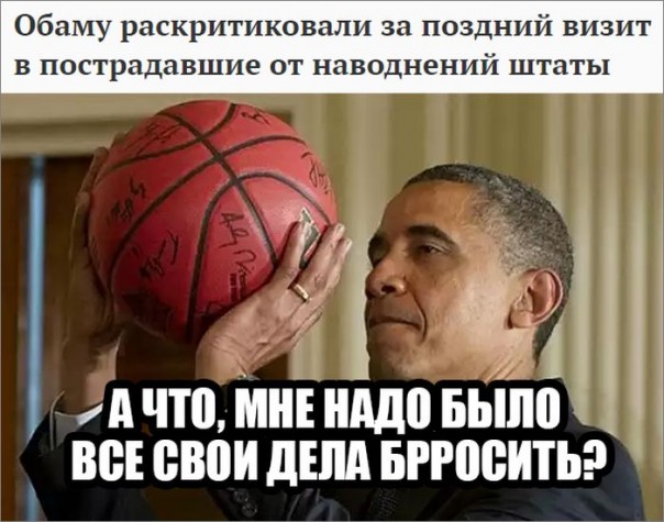 "Мыздобулы" в картинках. Смешных и не очень... 27-08-2016