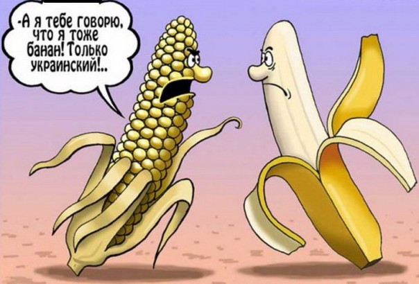 "Мыздобулы" в картинках. Смешных и не очень... 29-08-2016 "Мыздобулы" в картинках. Смешных и не очень... 29-08-2016