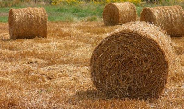 Украина продала Китаю единственный Ан-225 "Мрия" со всеми технологиями... Украина продала Китаю единственный Ан-225 "Мрия" со всеми технологиями...