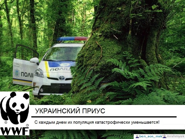  "Мыздобулы" в картинках. Смешных и не очень... 31-08-2016