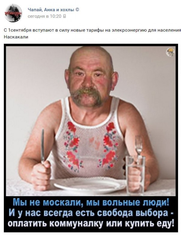  "Мыздобулы" в картинках. Смешных и не очень... 31-08-2016