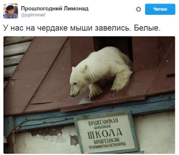  "Мыздобулы" в картинках. Смешных и не очень... 31-08-2016