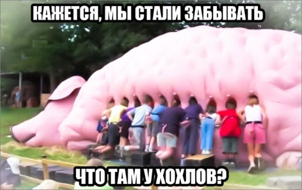  "Мыздобулы" в картинках. Смешных и не очень... 31-08-2016