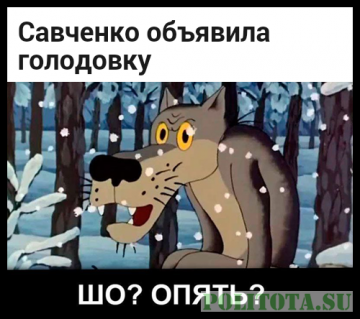 Как мычало кастрюлеголовое стадо, когда Савченко голодала в Ростовском СИЗО и как мычит сейчас. Почувствуйте разницу.