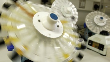 Комиссия Паунда не нашла вмешательства властей России в легкую атлетику