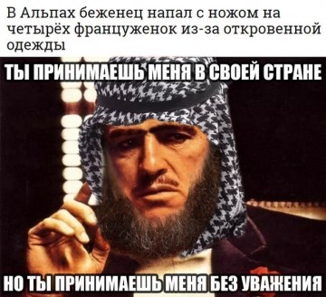 "Мыздобулы" в картинках. Смешных и не очень... 4-08-2016