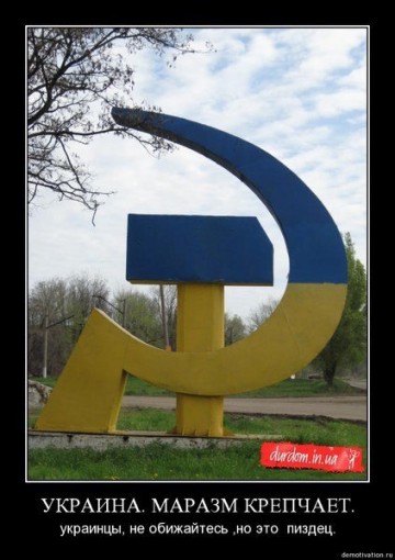 "Мыздобулы" в картинках. Смешных и не очень... 4-08-2016