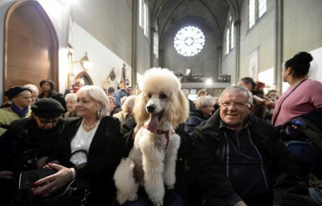 В Париже сносят христианскую церковь