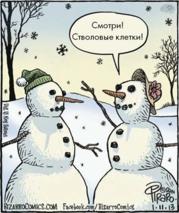 Шутки учёных