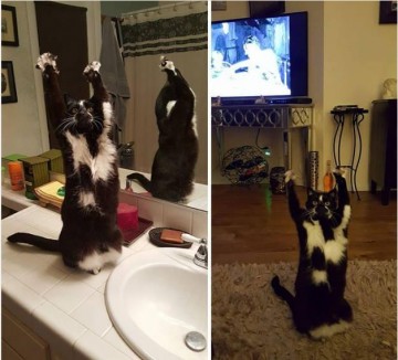 Они думают, что я сдаюсь