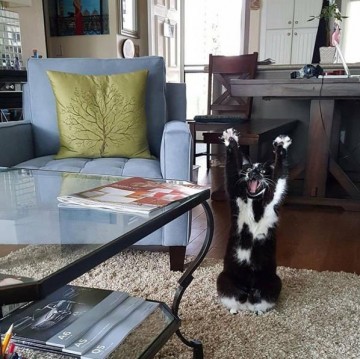 Они думают, что я сдаюсь