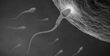 Самые вредоносные научные теории