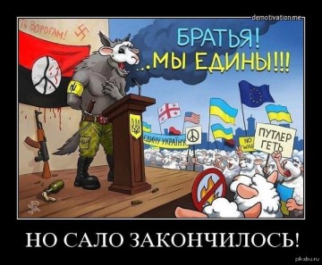 "Мыздобулы" в картинках. Смешных и не очень... 17-08-2016