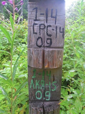 Руслана опубликовала фото "лысых" Карпат 