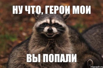 Памятка по выживанию среди енотов