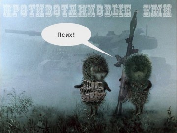 Украина установит на админгранице с Крымом противотанковые ежи - нардеп