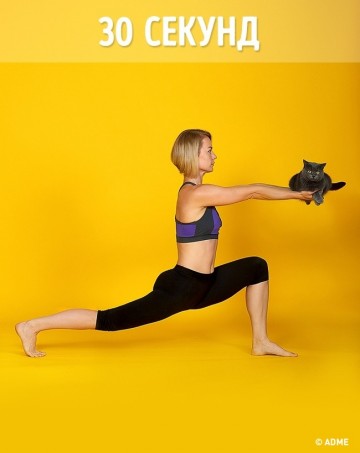 8 способов заменить спортзал одним котом