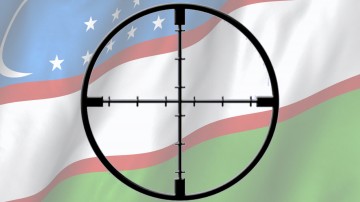 Узбекистан под прицелом США