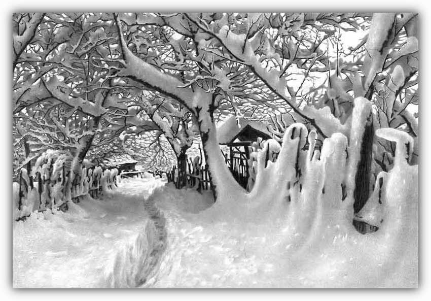 Снег, согревающий душу. Снег, согревающий душу.