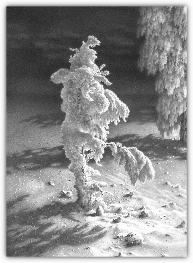 Снег, согревающий душу. Снег, согревающий душу.