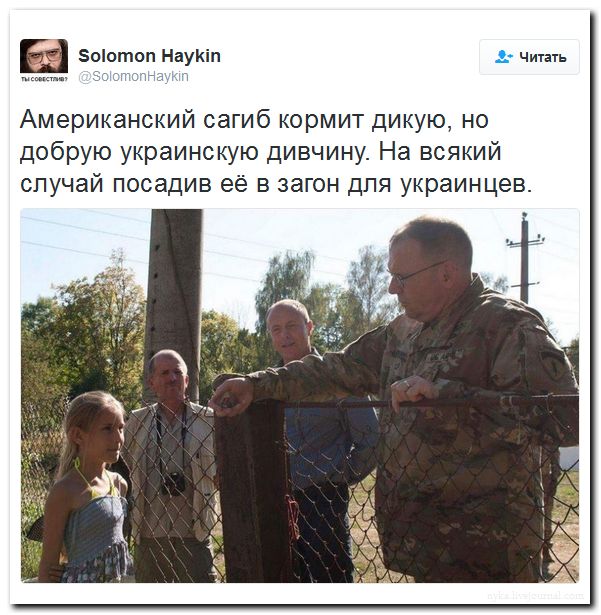 "Мыздобулы" в картинках. Смешных и не очень... 2-09-2016