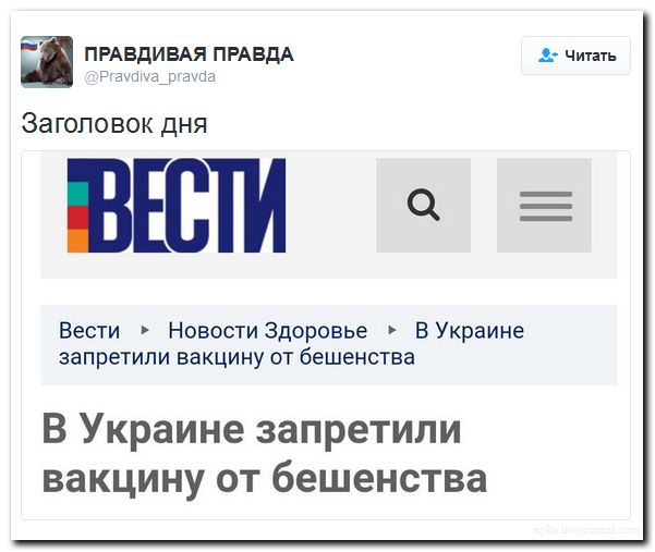 "Мыздобулы" в картинках. Смешных и не очень... 2-09-2016