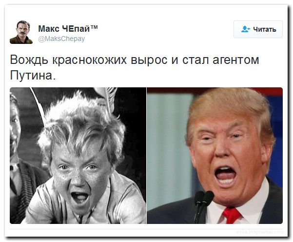 "Мыздобулы" в картинках. Смешных и не очень... 2-09-2016