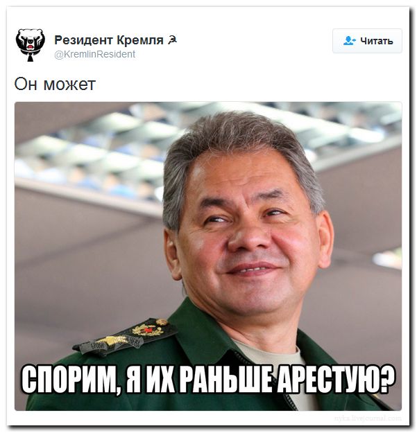 "Мыздобулы" в картинках. Смешных и не очень... 2-09-2016