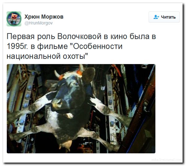 "Мыздобулы" в картинках. Смешных и не очень... 2-09-2016