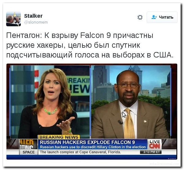 "Мыздобулы" в картинках. Смешных и не очень... 2-09-2016