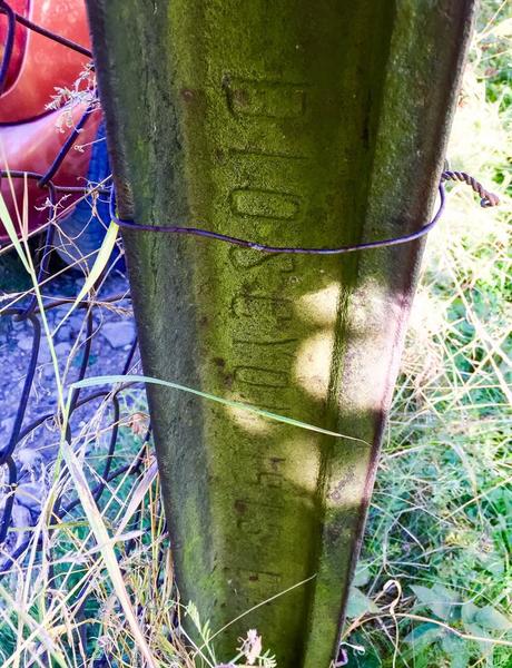 Дурнувати та воровати