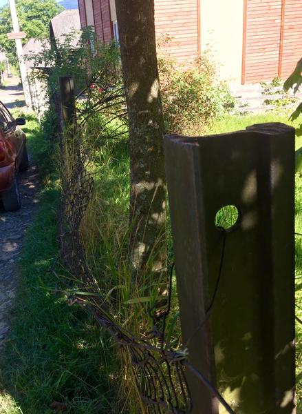 Дурнувати та воровати