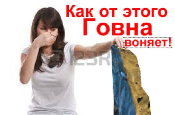 "Мыздобулы" в картинках. Смешных и не очень... 4-09-2016 "Мыздобулы" в картинках. Смешных и не очень... 4-09-2016