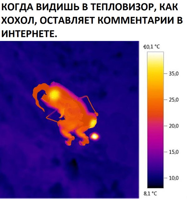 "Мыздобулы" в картинках. Смешных и не очень... 4-09-2016 "Мыздобулы" в картинках. Смешных и не очень... 4-09-2016