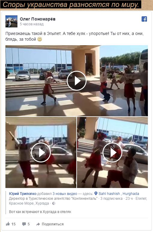 "Мыздобулы" в картинках. Смешных и не очень... 4-09-2016 "Мыздобулы" в картинках. Смешных и не очень... 4-09-2016