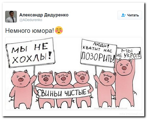 "Мыздобулы" в картинках. Смешных и не очень... 4-09-2016 "Мыздобулы" в картинках. Смешных и не очень... 4-09-2016