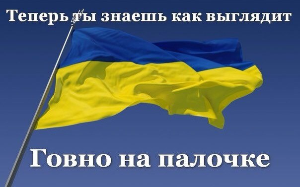 "Мыздобулы" в картинках. Смешных и не очень... 4-09-2016 "Мыздобулы" в картинках. Смешных и не очень... 4-09-2016