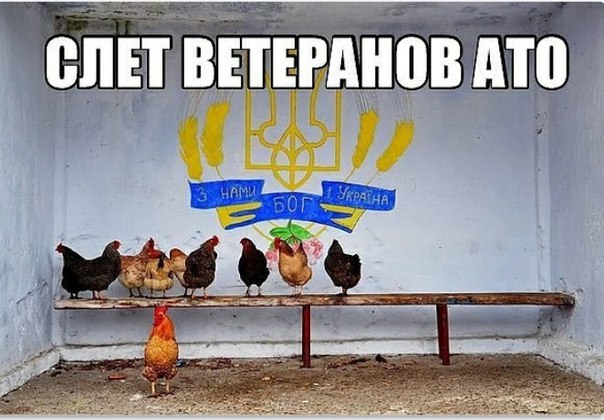 "Мыздобулы" в картинках. Смешных и не очень... 4-09-2016 "Мыздобулы" в картинках. Смешных и не очень... 4-09-2016