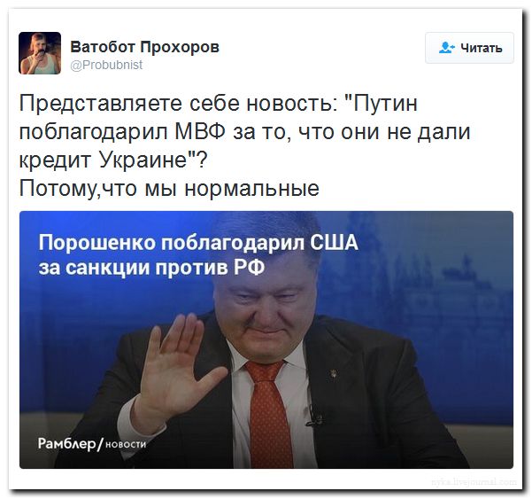 "Мыздобулы" в картинках. Смешных и не очень... 4-09-2016 "Мыздобулы" в картинках. Смешных и не очень... 4-09-2016