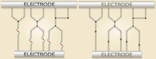 Новая подборка новостей мира науки и техники 04-09-2016 Новая подборка новостей мира науки и техники 04-09-2016