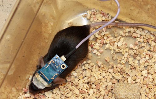 Новая подборка новостей мира науки и техники 04-09-2016 Новая подборка новостей мира науки и техники 04-09-2016