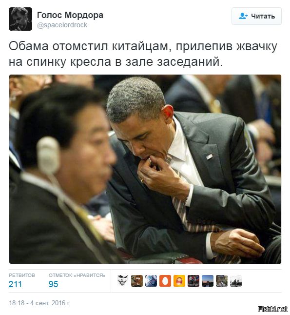 "Мыздобулы" в картинках. Смешных и не очень... 5-09-2016 "Мыздобулы" в картинках. Смешных и не очень... 5-09-2016