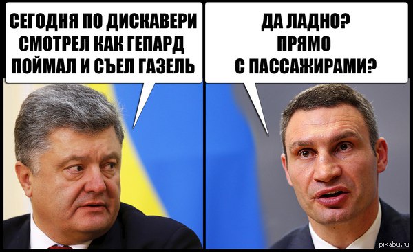 "Мыздобулы" в картинках. Смешных и не очень... 5-09-2016 "Мыздобулы" в картинках. Смешных и не очень... 5-09-2016
