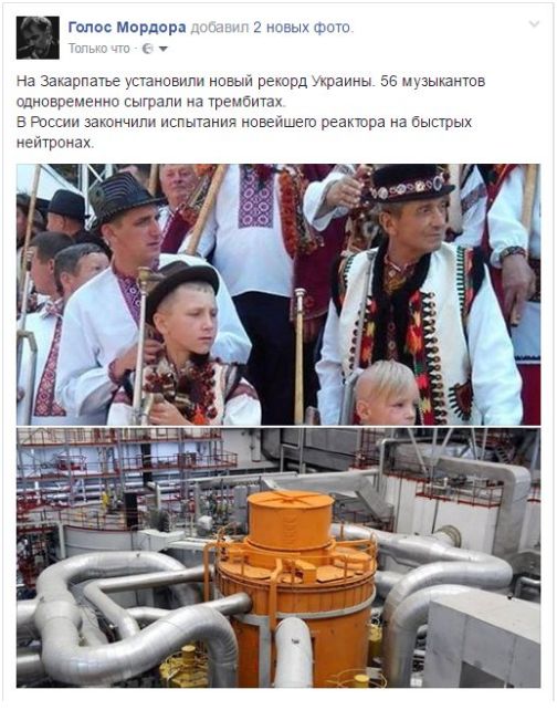 "Мыздобулы" в картинках. Смешных и не очень... 5-09-2016 "Мыздобулы" в картинках. Смешных и не очень... 5-09-2016