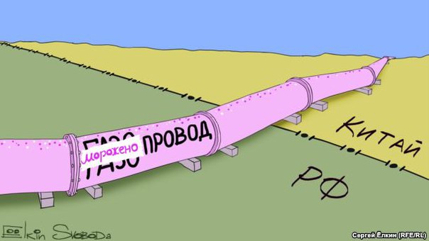 "Мыздобулы" в картинках. Смешных и не очень... 5-09-2016 "Мыздобулы" в картинках. Смешных и не очень... 5-09-2016