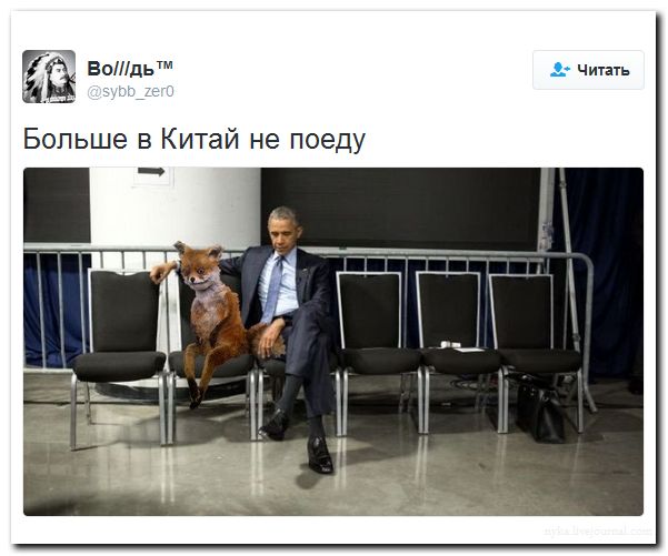 "Мыздобулы" в картинках. Смешных и не очень... 5-09-2016 "Мыздобулы" в картинках. Смешных и не очень... 5-09-2016