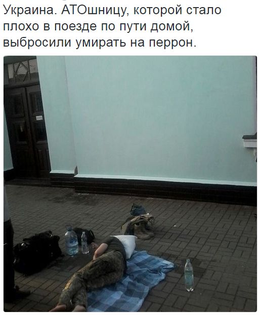 Потерь НЕТ - терять некого! Потери укрофашистов с 1 по 31 августа (Фото) Потерь НЕТ - терять некого! Потери укрофашистов с 1 по 31 августа (Фото)