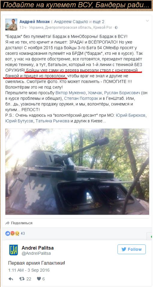 Потерь НЕТ - терять некого! Потери укрофашистов с 1 по 31 августа (Фото) Потерь НЕТ - терять некого! Потери укрофашистов с 1 по 31 августа (Фото)