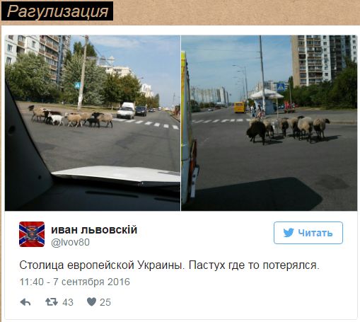 "Мыздобулы" в картинках. Смешных и не очень... 07-09-2016 (2) "Мыздобулы" в картинках. Смешных и не очень... 07-09-2016 (2)