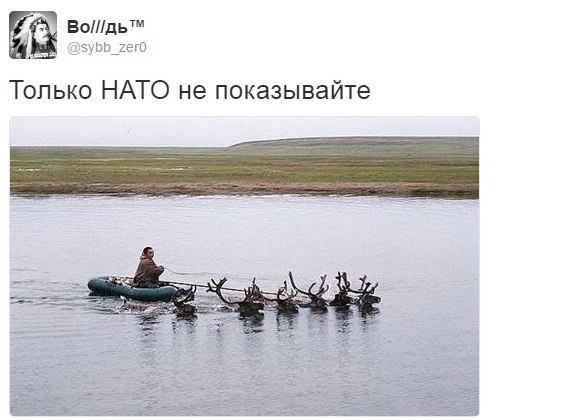 "Мыздобулы" в картинках. Смешных и не очень... 11-09-2016 "Мыздобулы" в картинках. Смешных и не очень... 11-09-2016